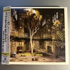 FOUNTAINS OF WAYNE スカイ・フル・オブ・ホールズ