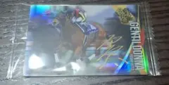 サラブレッドホースコレクション　ジェンティルドンナ　サインカード