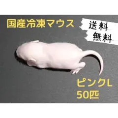 きちきち様 リクエスト 2点 まとめ商品 - メルカリ