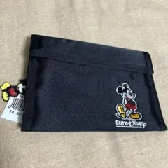 Disney お財布　カードケース　ディズニーランド　パリ