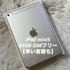 【完動品】iPad mini5 64GB SIMフリー 【すぐ発送】【付属品】