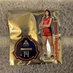 2025年最新】NECレッドロケッツ記念グッズの人気アイテム - メルカリ