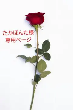 たかぽんた様専用。ありがとうございます！