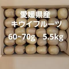 愛媛県産　キウイフルーツ　60~70g　5.5kg　ヘイワード