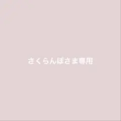 専用ページ