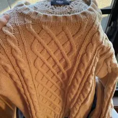 AZULのニット。洗濯可能