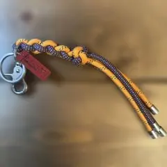 Item thumbnail for item 3c661009-6315-4eb1-b8b4-a914f053c55c