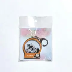 アドベンチャーワールド ☆ 歴代パンダのシャカシャカキーホルダー 陽浜【新品】