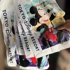 1値下げ！【匿名配送】東京ディズニーリゾート お土産袋 買い物袋 計5枚のサムネイル