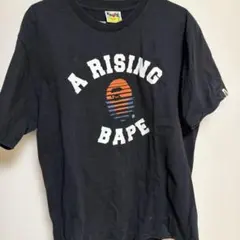 A BATHING APE WORSHIP Tシャツ ブラック - メルカリ