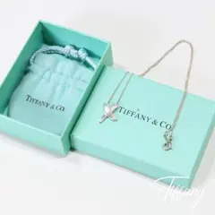 【美品】ティファニー Tiffany ネックレス グラフィティキス パロマピカソ