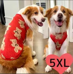 かわいい♡ 犬服 大型犬 ドッグウェア 春 くま柄 大きい 赤 新品 5XL