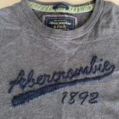 Abercrombie & Fitch アバクロ Tシャツ M