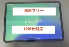 Apple iPad Pro (11インチ) スペースグレー 64GB