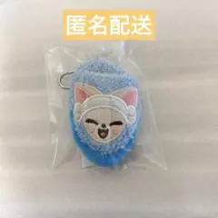 2025年最新】skzoo フォクシニーの人気アイテム - メルカリ