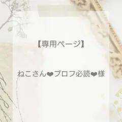 ねこさん❤︎プロフ必読❤︎様専用【サイズオーダー】