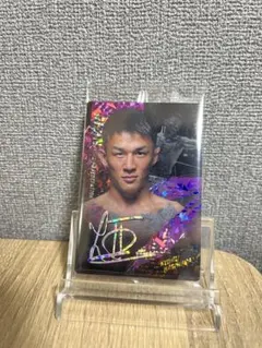 Item thumbnail for item 6167cda2-d42e-4c6d-a492-5c48b343bef6