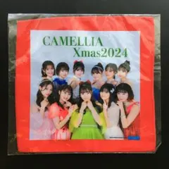 つばきファクトリー FCツアー 千葉県館山市 DVD - メルカリ