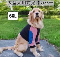 Item thumbnail for item 16e99ea2-9920-45b7-b75d-2b3c8702a0ba