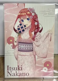 アオイホタル様 リクエスト 3点 まとめ商品