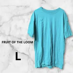FRUIT OF THE LOOM PLATINUMターコイズ Tシャツ【L】