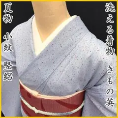 阿波天然藍染作家◇松本輝之・作◇落款あり◇水紋模様◇袷◇正絹◇訪問