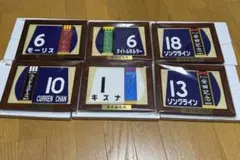 シルキーラグーンGⅠ調教ゼッケン】シルキーラグーン 特殊調教ゼッケン