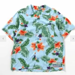 Item thumbnail for item cda1a75b-aa8f-4ac4-be23-59c9a696ddf9