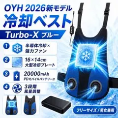 冷却ベスト ペルチェ ファン搭載 20000mAh バッテリー付 ブルー - メルカリ