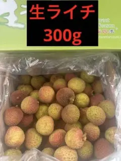 中国産 生ライチ 300g 妃子笑のサムネイル