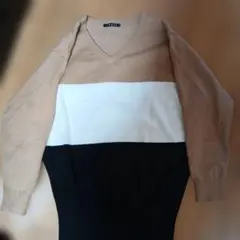 INGNI Vネックニット 長袖 バイカラー
