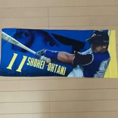 大谷翔平選手　プレイヤーズスペシャル　２点セット　ファイターズ