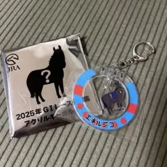 メイショウタバル アクリルキーホルダー 宝塚記念 ウェルカムチャンス