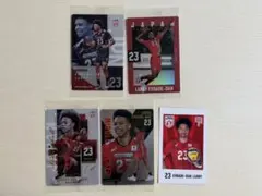 バレーボール男子日本代表 エバデダンラリー トレカ 5枚セット