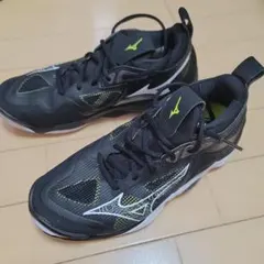 Item thumbnail for item a550851a-4d98-4185-97b0-2f49f952f5c6