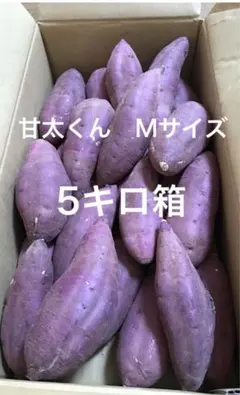 chat様専用！大分県産　甘太くんA品Mサイズ　5キロ