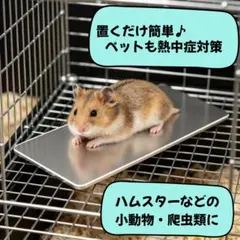 △冷却プレート アルミプレート ハムスター 小動物 爬虫類 ひんやり 夏対策のサムネイル