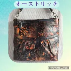 オーストリッチショルダーバッグ JRAタグ ペインティング ポケット多数 レア物