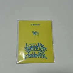 Stray Kids dominATE ID Photo set