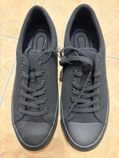 Item thumbnail for item 494bd07a-13d3-4f4a-b65a-62d20b5f00eb