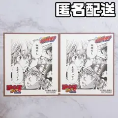 ジャンプフェア アニメイト2025 特典 色紙 家庭教師ヒットマンREBORN