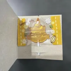 キャンディーチャームズグミ