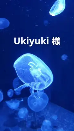 おすそ分け蛇腹ファイル　中サイズ薄型４冊セット　ファイルのみ