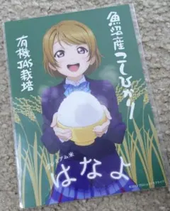 2025年最新】プレミアム米 花陽の人気アイテム - メルカリ