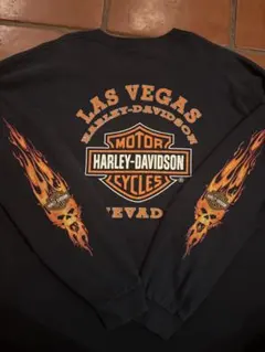 Harley-Davidson ロンT ファイアパターン　フレイム　00s