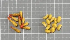 ミニチュアフード　ハンドメイドーエビフライ　ヘレカツ　目玉焼き　オムレツ　6種類