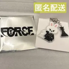 Stray Kids リノ　シーグリ　ランダムアクリルキーホルダー　リービット