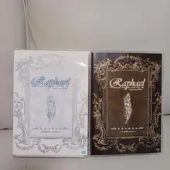 Raphael　ステッカー　ポストカード　ラファエル　華月 ロゴ 特典 2026年最新】RaphaeL 華月の人気アイテム - メルカリ