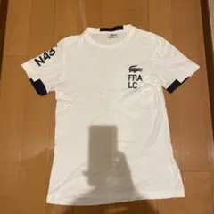 Lacoste ホワイト Tシャツ ネイビー袖