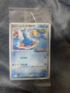 ポケパークのミズゴロウ プロモ 048/PCG-P ポケモンカード